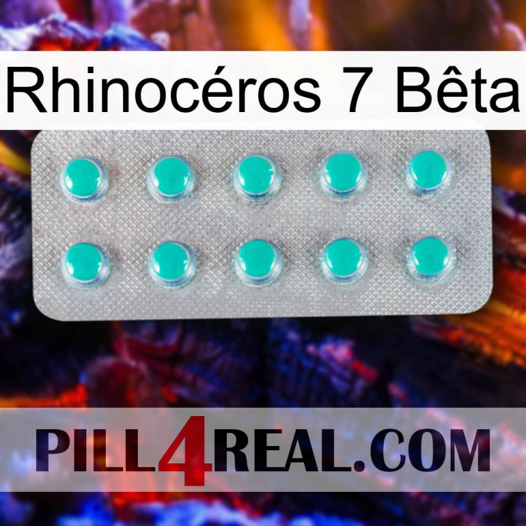 Rhinocéros 7 Bêta 28